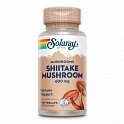 Shiitake Mushroom 600mg - 100 veg caps (Гриб Шіїтаке) - 60 - Molodo