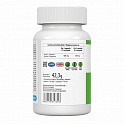 Acetyl-L-Carnitine - 60 caps - 61 - Molodo