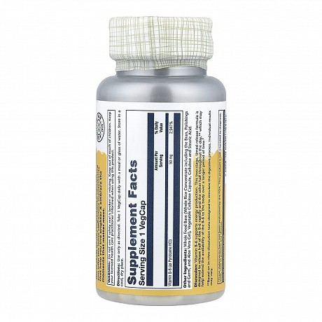 Vitamin B-6 Timed-Release 50mg - 60 vcaps (Вітаміни Solaray B-6) - 66 - Molodo