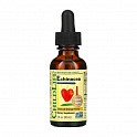 Echinacea Liquid Drops - 30ml (Ехінацея з апельсиновим смаком) - 60 - Molodo