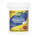 Kids Primadophilus - 30 tabs Cherry (Пробиотики для детей со вкусом вишни) - 63 - Molodo