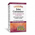 CurcuminRich Joint Curcumizer - 60 veg caps (Куркумин для суставов) - 61 - Molodo