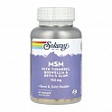 MSM 750mg - 90 veg cap (Метилсульфонілметан) - 60 - Molodo