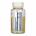 Pantothenic Acid 250mg - 100 caps (Вітамін B5 Пантотенова кислота Solaray) - 62 - Molodo
