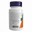 Zinc Picolinate 50 mg - 60 vcaps (Цинк пиколинат) - 62 - Molodo