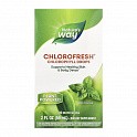 Chlorofresh® Mint 40X Liquid - 59 ml (Краплі з хлорофілом, м’ята) - 62 - Molodo