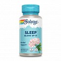 Sleep Blend SP-17 - 100 veg caps (Спокійний сон) - 59 - Molodo