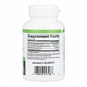 Papaya Enzymes - 60 tabs (Ферменты папаи) - 60 - Molodo