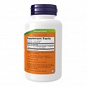 Lion's Mane 500mg - 60 veg caps (Їжовик гребінчастий) - 61 - Molodo