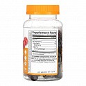 Prebiotic Fiber Adult - 60 gummies (Жувальний пребіотик з клітковиною) - 61 - Molodo