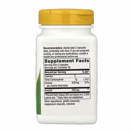 Choline & Inositol - 100 caps (Холін та інозитол ) - 67 - Molodo