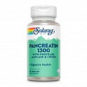 Pancreatin 1300 Digestive Enz 1300mg - 90 veg caps (Панкреатин 1300) - 61 - Molodo