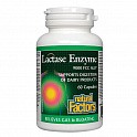Lactase Enzyme - 60 caps (Лактаза) - 62 - Molodo