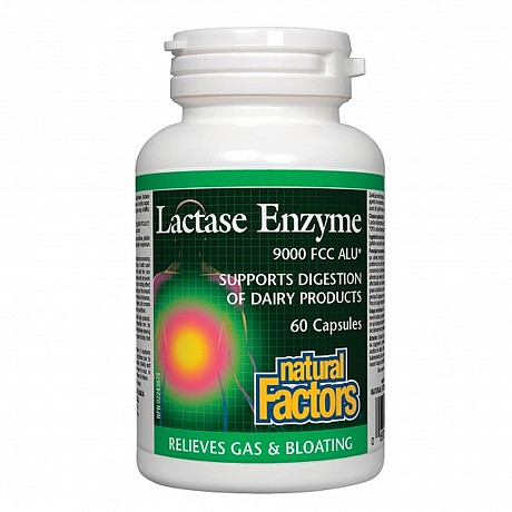 Lactase Enzyme - 60 caps (Лактаза) - 66 - Molodo