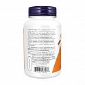 Candida Support - 90 veg caps (Поддержка кишечной флоры) - 62 - Molodo