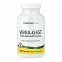 Vibra-Gest® - 180 veg caps (Энзимы) - 59 - Molodo