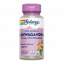 Ashwaganda Root Extract 470mg - 60 veg caps (Ашваганда екстракт коріння) - 59 - Molodo