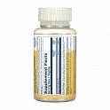 Vitamin B-6 Timed-Release 100mg - 60 vcaps (Вітамін Б6 Solaray) - 62 - Molodo