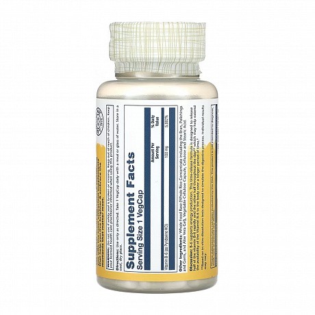 Vitamin B-6 Timed-Release 100mg - 60 vcaps (Вітамін Б6 Solaray) - 66 - Molodo