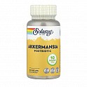 Akkermansia Postbiotic - 30 veg caps (Постбіотик) - 61 - Molodo