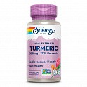 Turmeric Root Extract 300m - 60 veg caps (Екстракт куркуми) - 59 - Molodo