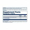 Wild Yam Root Extract 275mg - 60 veg caps (Дикий ямс) - 60 - Molodo
