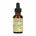 Echinacea Liquid Drops - 30ml (Ехінацея з апельсиновим смаком) - 61 - Molodo