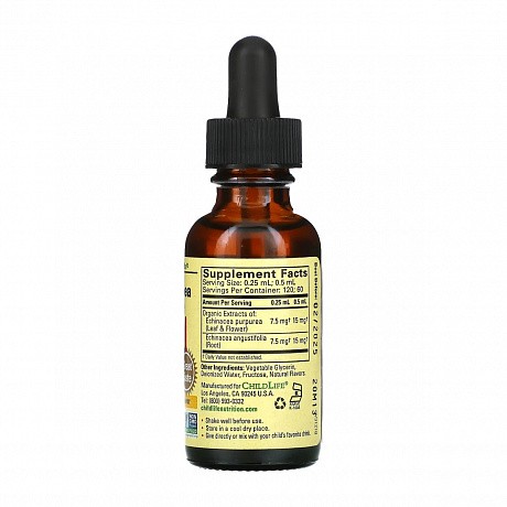 Echinacea Liquid Drops - 30ml (Ехінацея з апельсиновим смаком) - 65 - Molodo