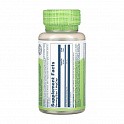 Korean Ginseng Root 550mg - 50 veg caps (Корінь корейського женьшеню) - 62 - Molodo