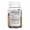 Immune Support Kids - 60 gummies (Поддержка иммунитета для детей) - 62 - Molodo