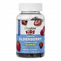 Sambucus Elderberry + Vitamin C and Zinc Kids Sugar Free - 60 gummies (Дієтична добавка з бузиною) - 60 - Molodo